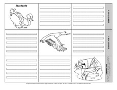 Leporello-Stockente-5-1-2.pdf